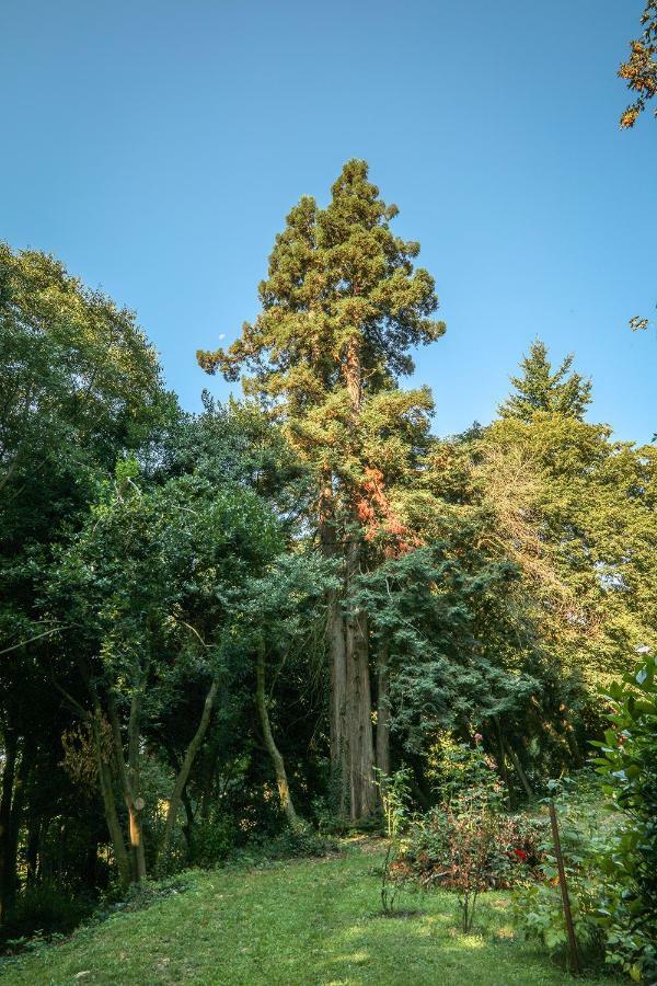 Le Clos D'Abrigeon โอเบอนา ภายนอก รูปภาพ